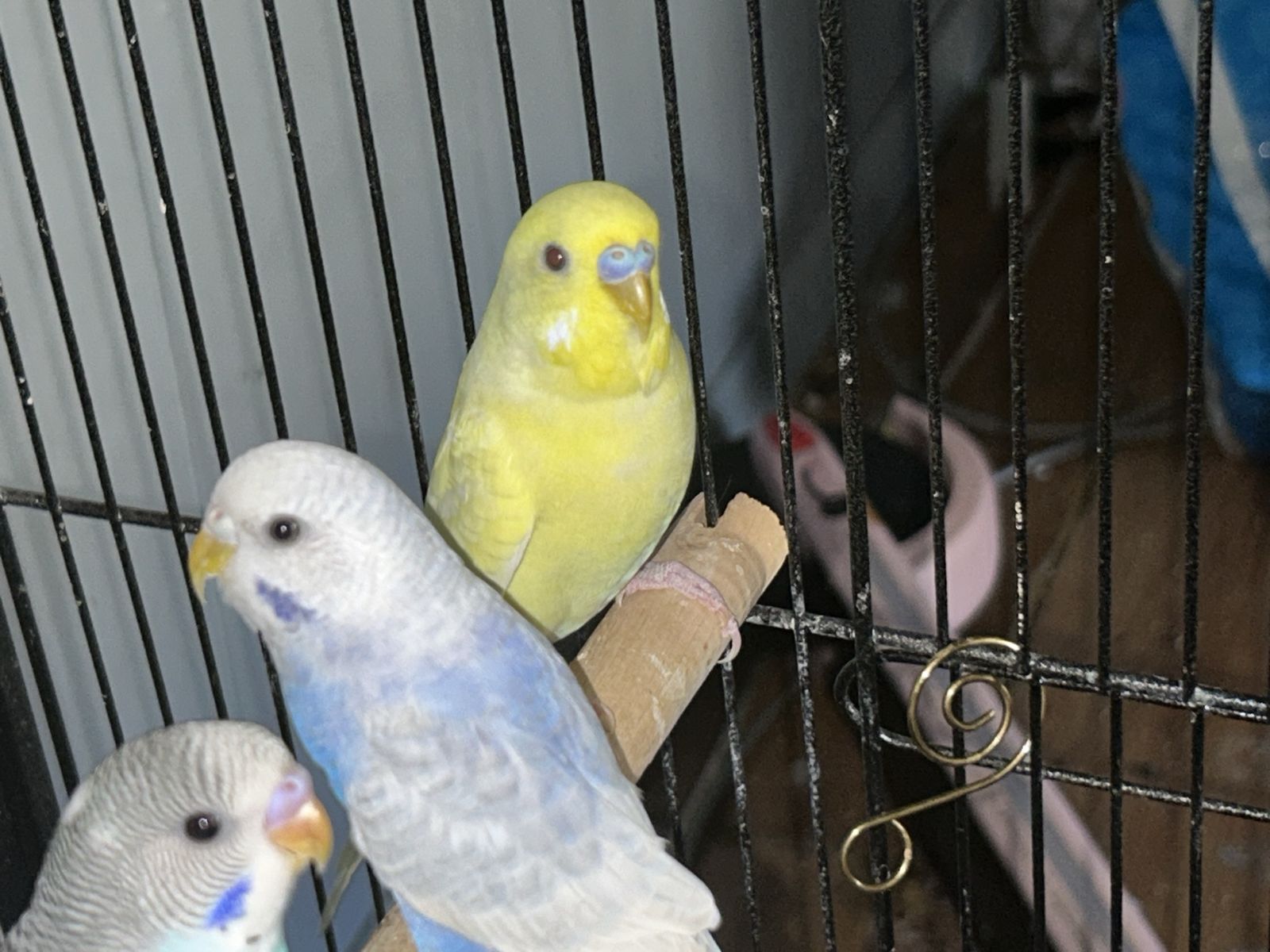 Main image 2