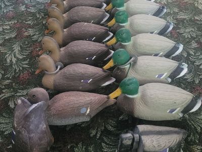 Lot of Mallard Duck Decoys - Hunting Spread