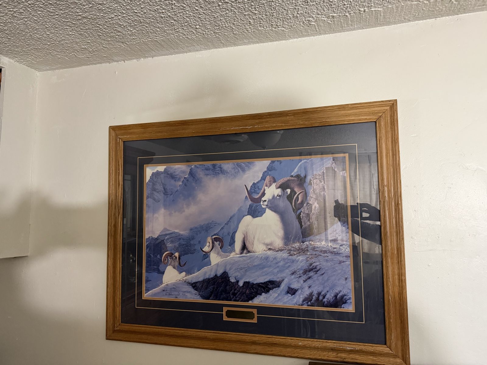 Framed print