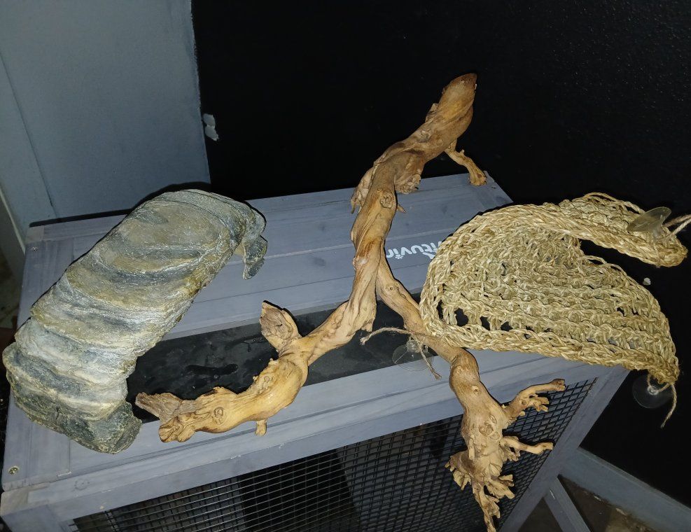 Main image 3