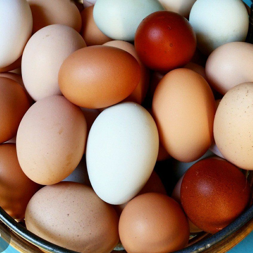 Organic, non gmo farm eggs