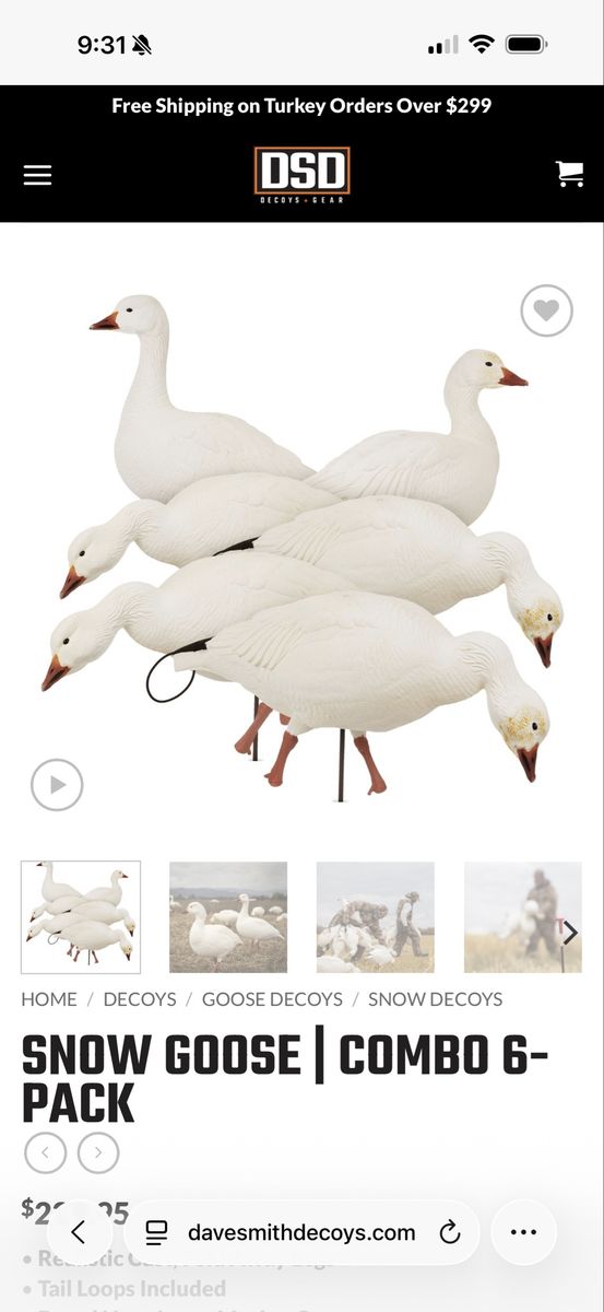 Snow goose spread