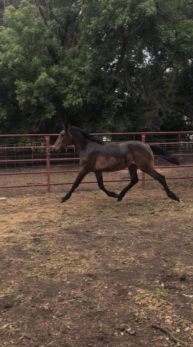 Coming 2 Year Old!