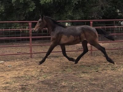 Coming 2 Year Old!