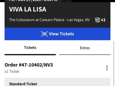 BlackPink Lisa Concert in Las Vegas