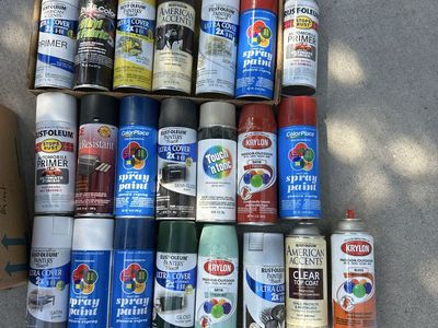 Assorted Spray Paint Lot - Rust-Oleum, Krylon, Various Colors & Finishes - 20+ Cans for Projects. $10 for the whole box. Hope so
