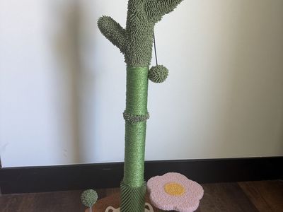 Kitty Cactus