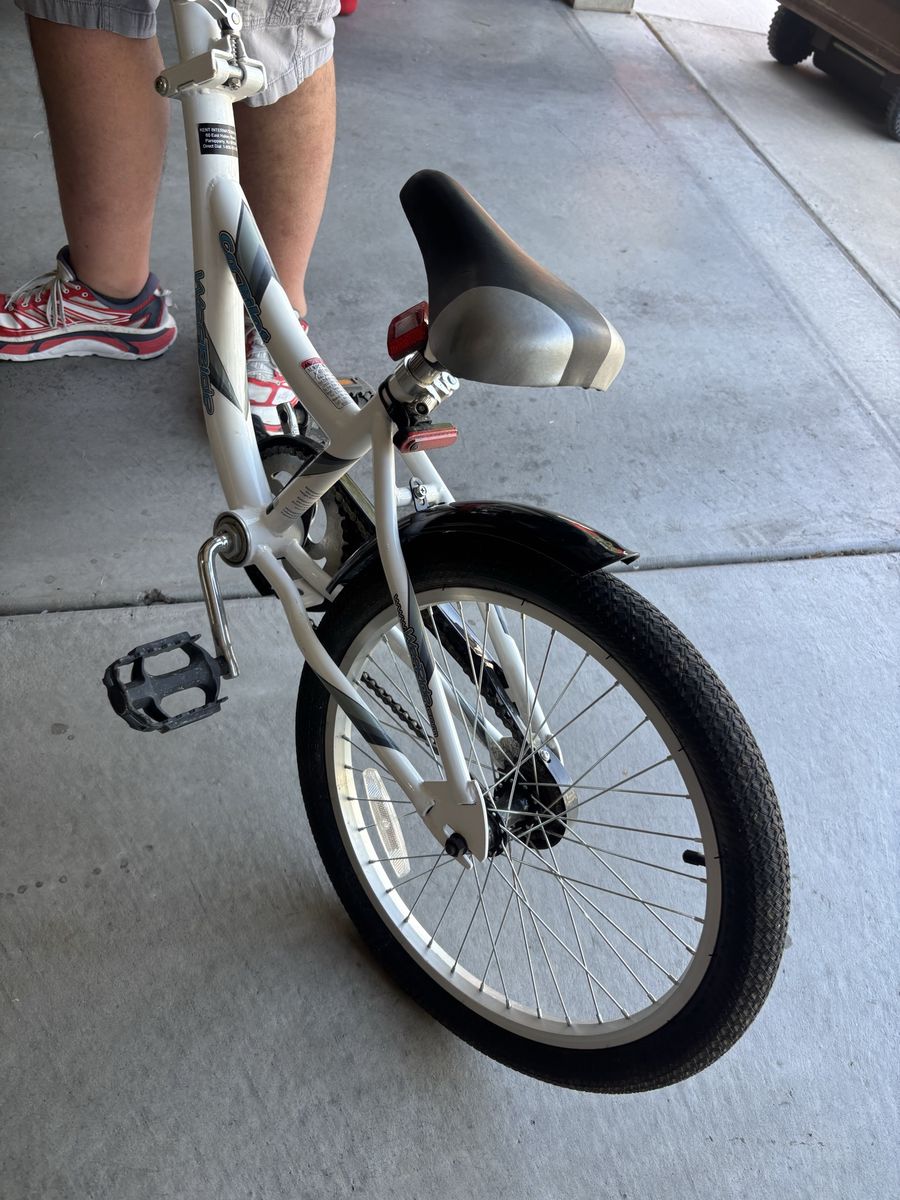 Sync Link 20” Co-Pilot Bike – Ready for New Adventures!