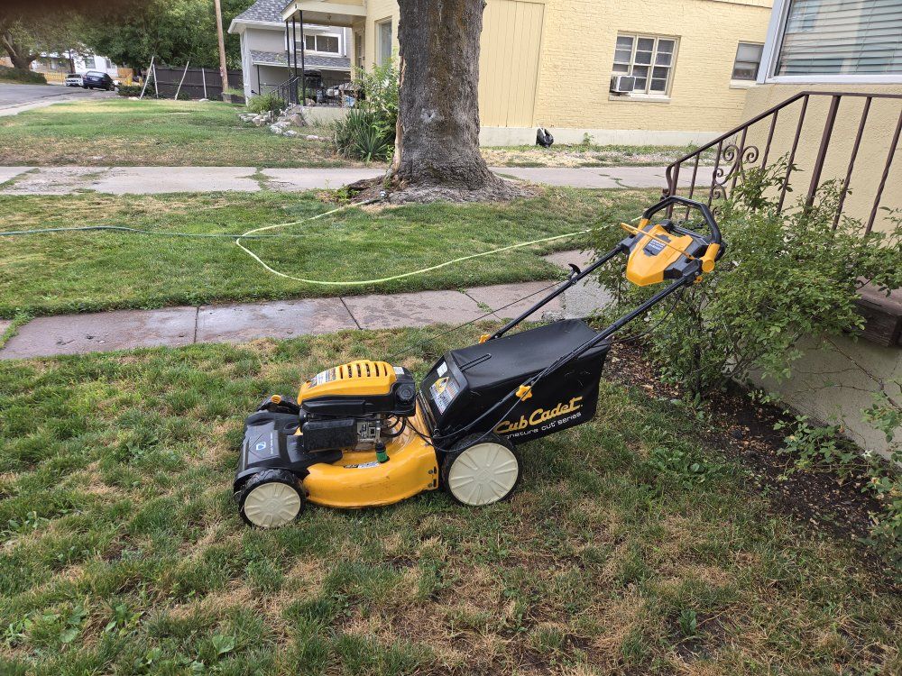 Cub Cadet SC 300 HW Self-Propelled Gas Lawn Mower with Grass Bagger