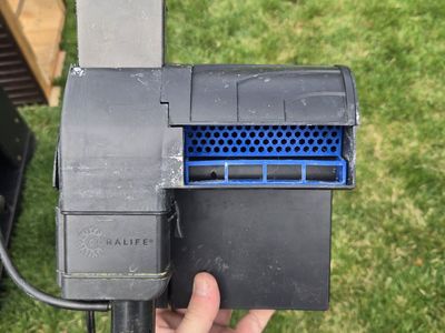 Filter with Protein Skimmer