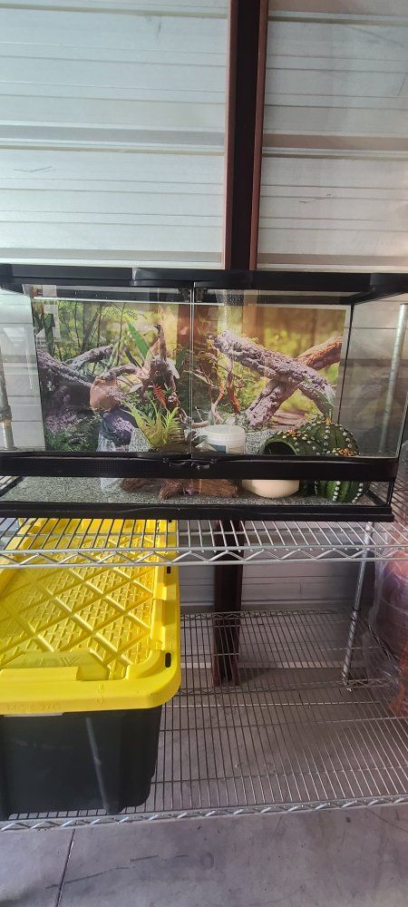 REPTI HABITAT Terrarium Tank 20 Gallon Long Glass Enclosure with Accessories. Never been used