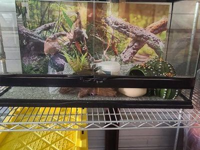 REPTI HABITAT Terrarium Tank 20 Gallon Long Glass Enclosure with Accessories. Never been used