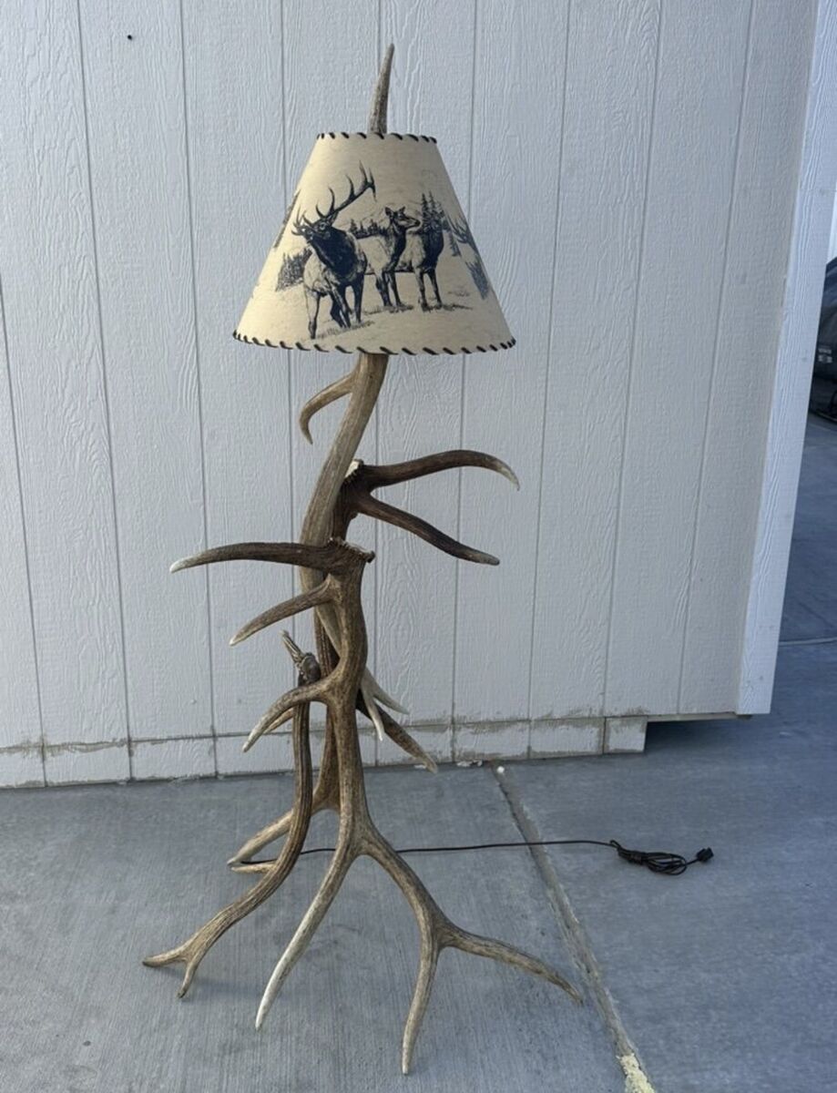Elk Antler Floor Lamp