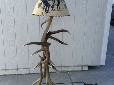 Elk Antler Floor Lamp