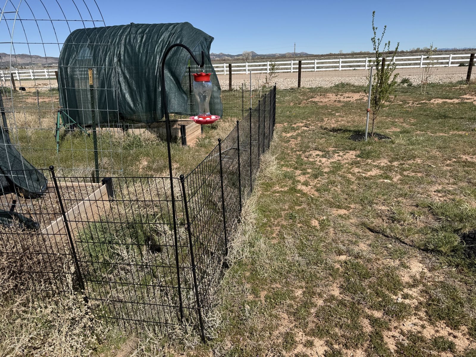 Wire  No-Dig Garden Fencing