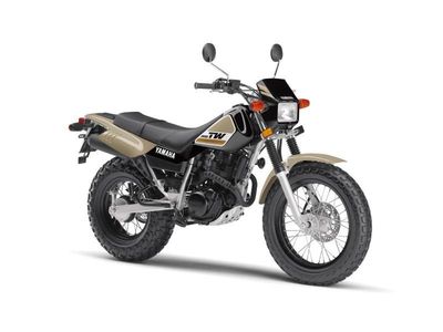 2020 Yamaha TW200 - UY66727