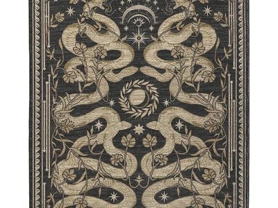 5x7 area rugs