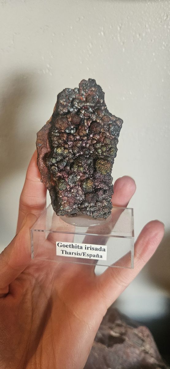 Turgite - Iridescent Botryoidal Hematite Goethite