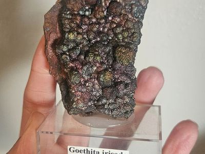 Turgite - Iridescent Botryoidal Hematite Goethite
