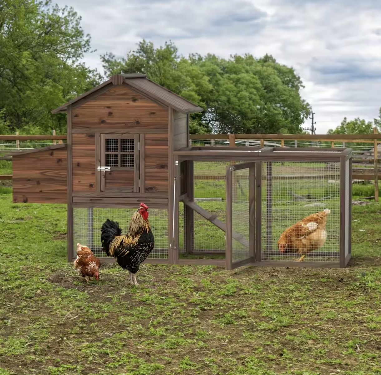 Chicken Coop / Small Animal Hutch — Brand New