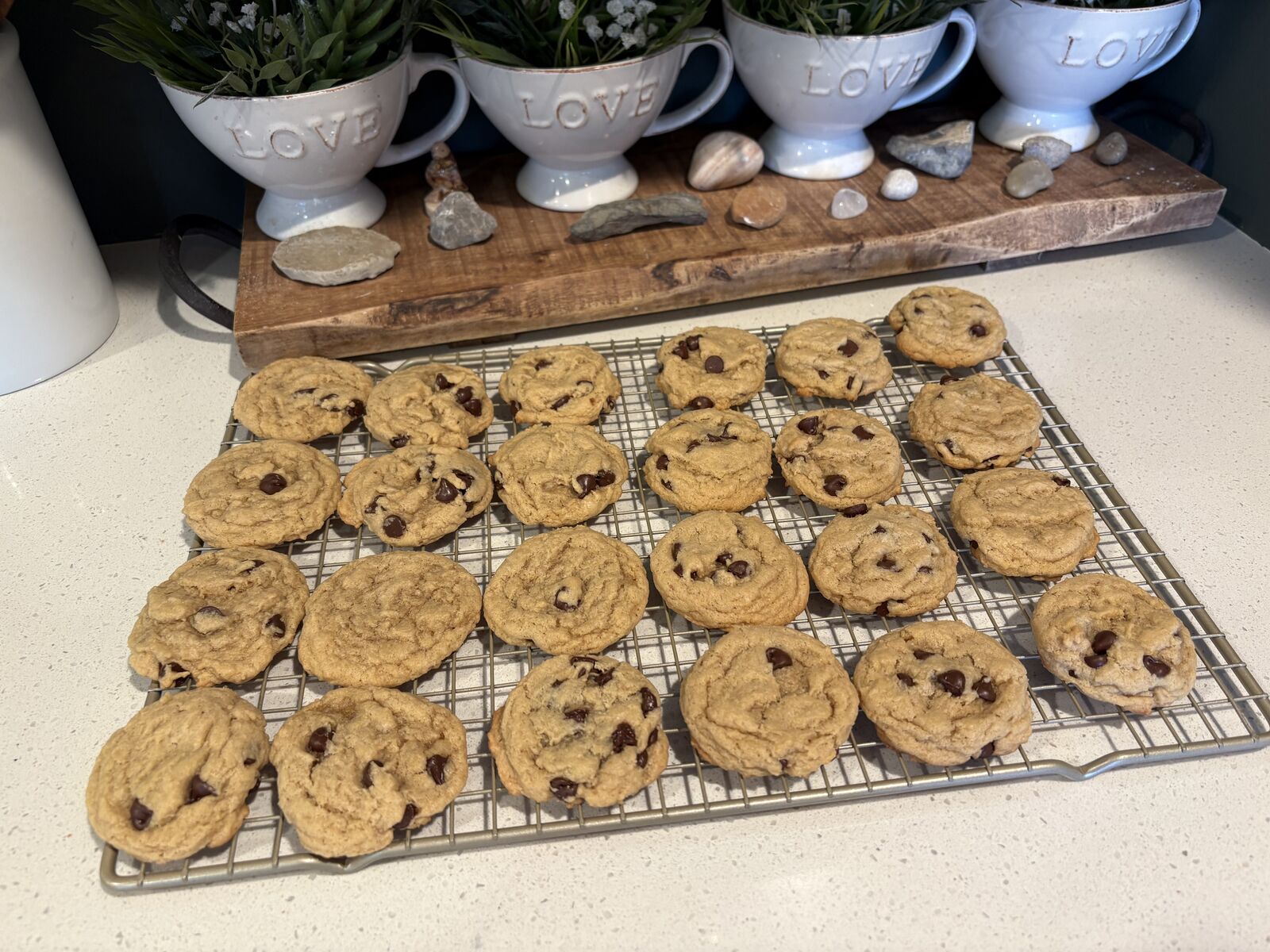 The BEST Sourdough Chocolate Chip Cookies!!