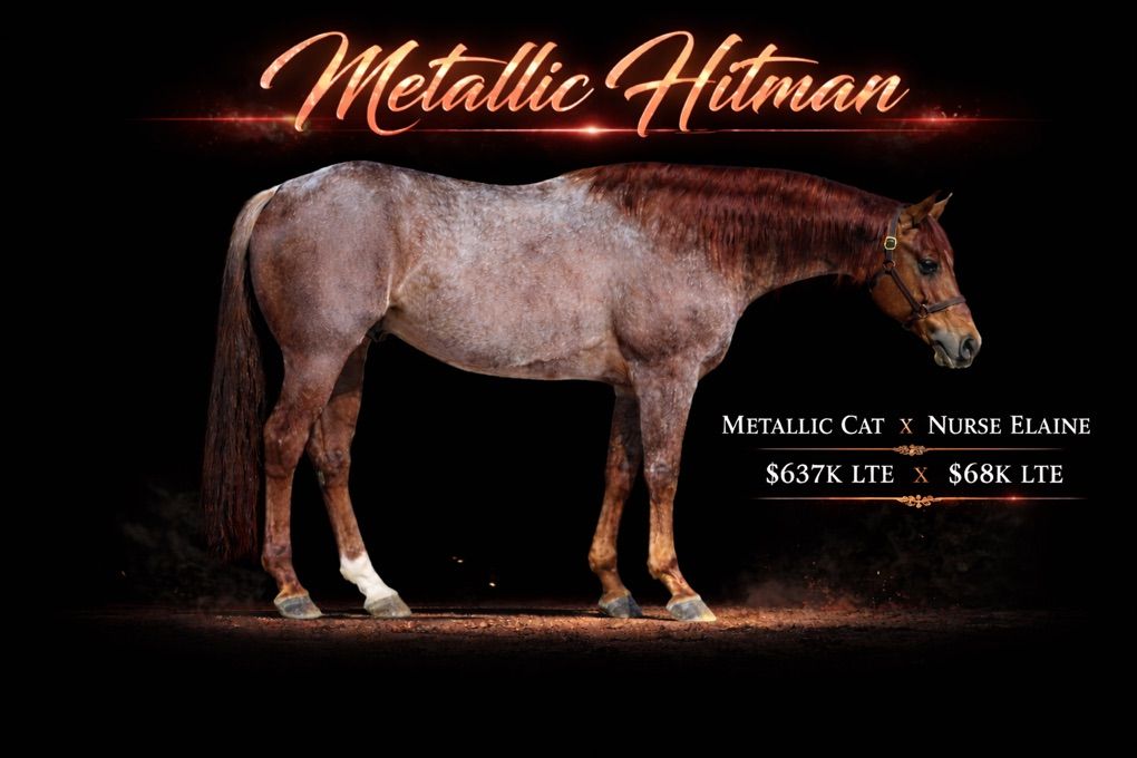 Metallic Hitman - Son Of Metallic Cat