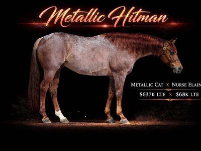 Metallic Hitman - Son Of Metallic Cat