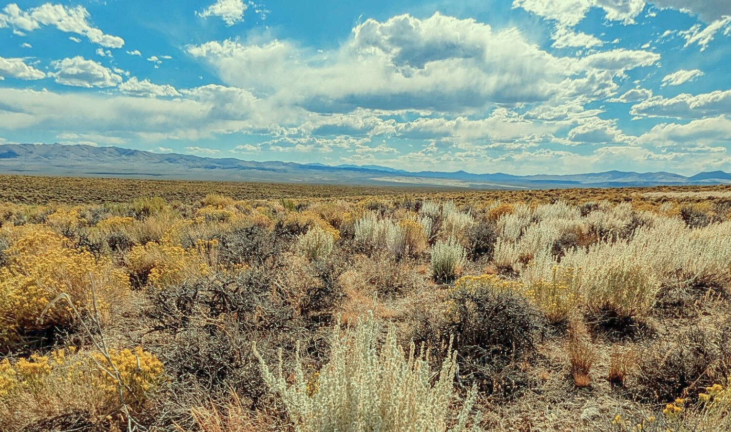 Your Private Gateway to BLM Land in Montello!