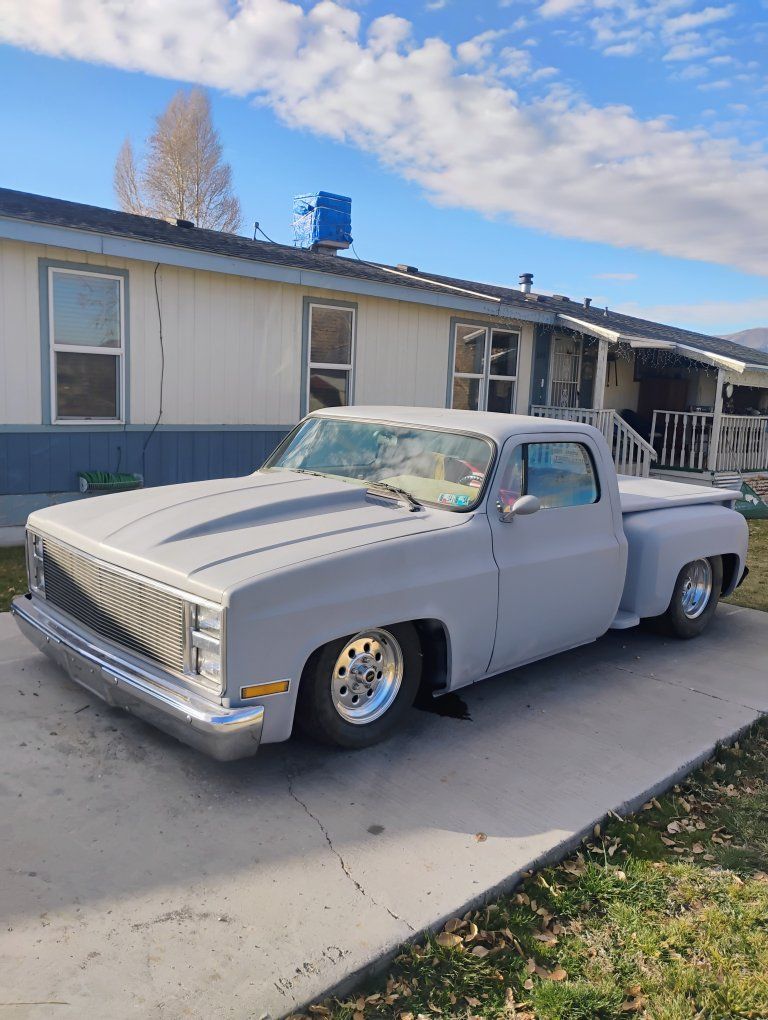 1980 Chevrolet 1/2 Ton 