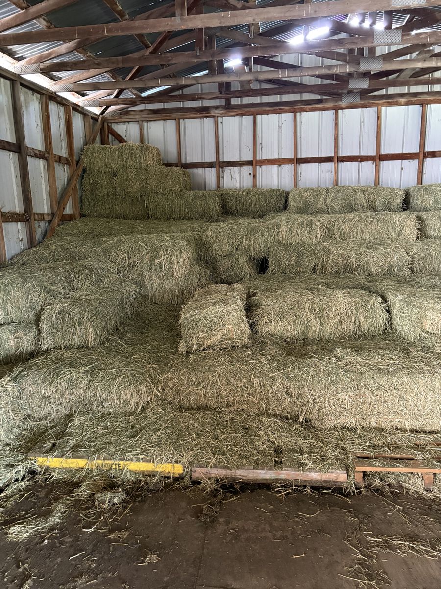 Hay for sale