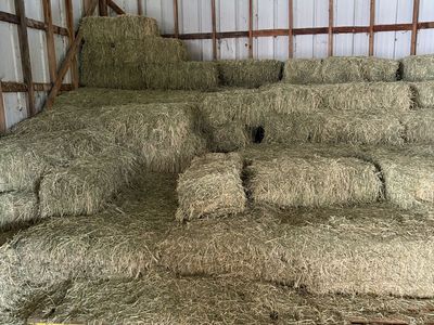 Hay for sale