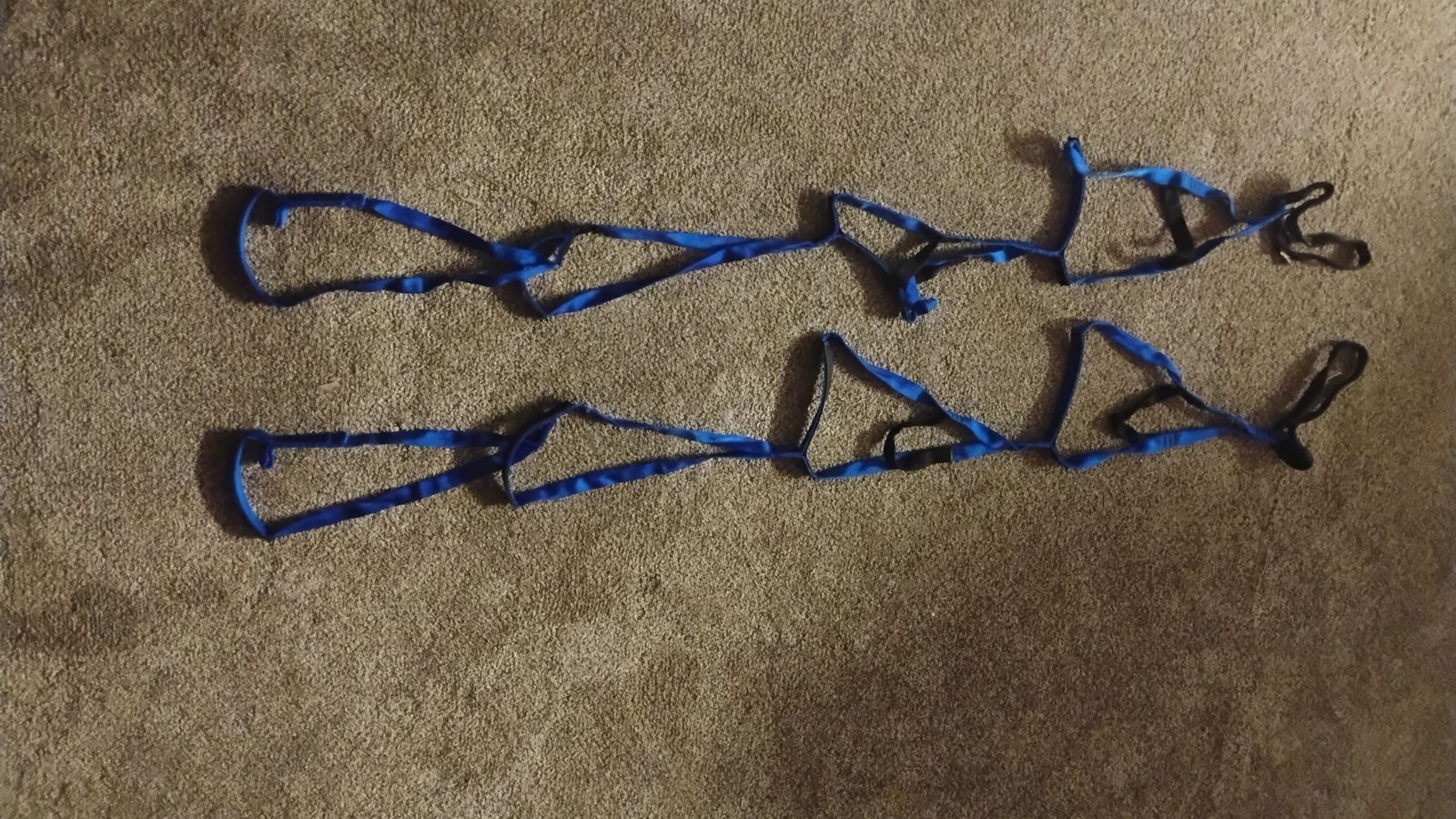 Pair of Metolius Alpine Aiders (Blue)