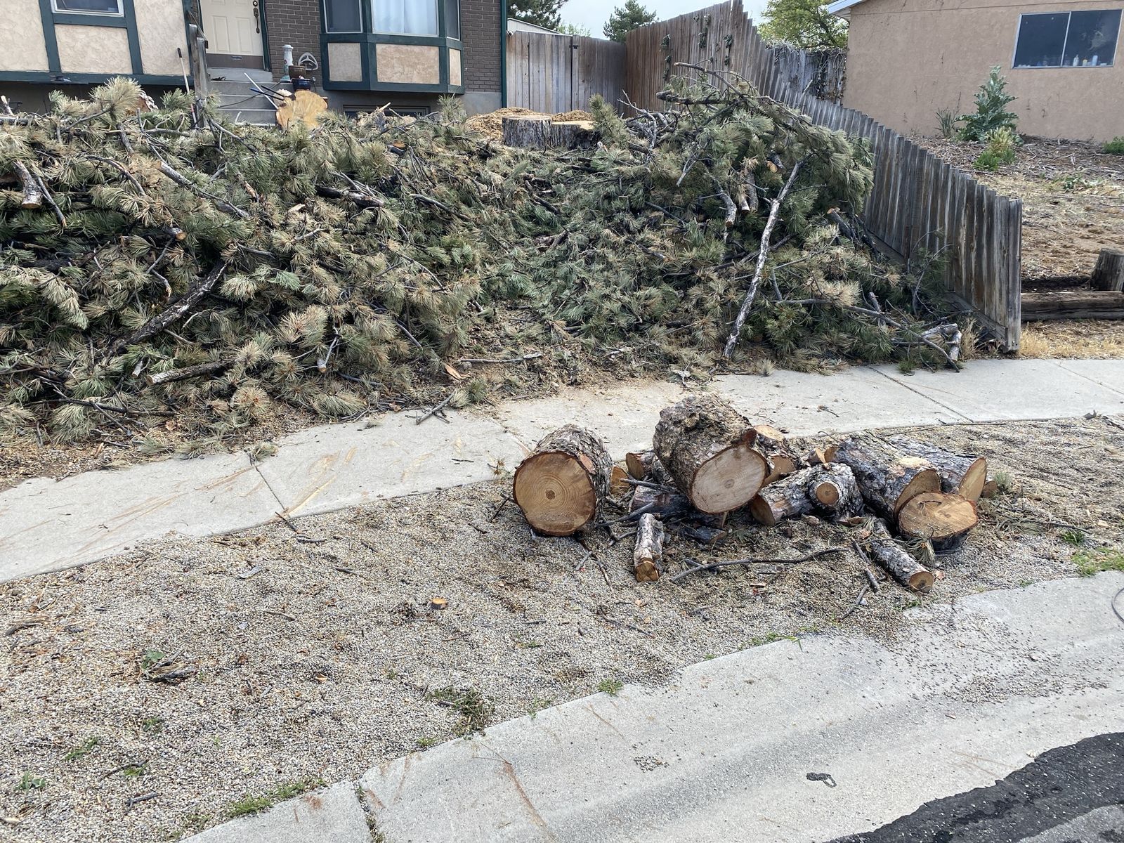 Pine/wood/firewood