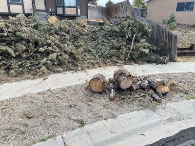 Pine/wood/firewood
