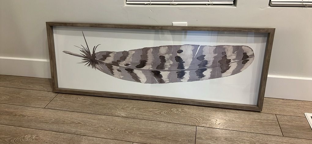 Feather Wall Art 🪶