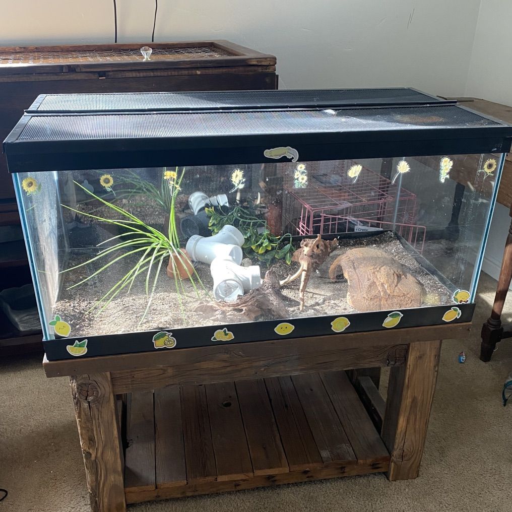 40 Gal Terrarium With Custom Wood Stand
