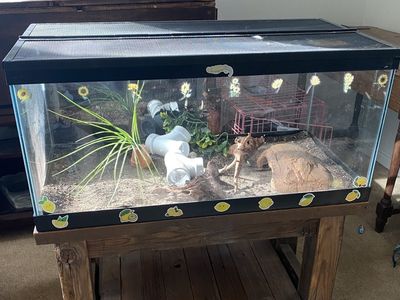 40 Gal Terrarium With Custom Wood Stand