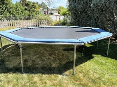 Used Octagonal Trampoline with Blue Safety Pad - Good Condition