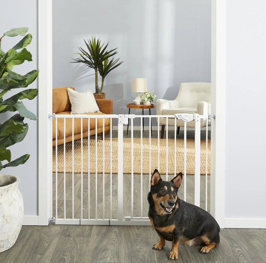 New 30in Tall Extra Wide White Pet Gate