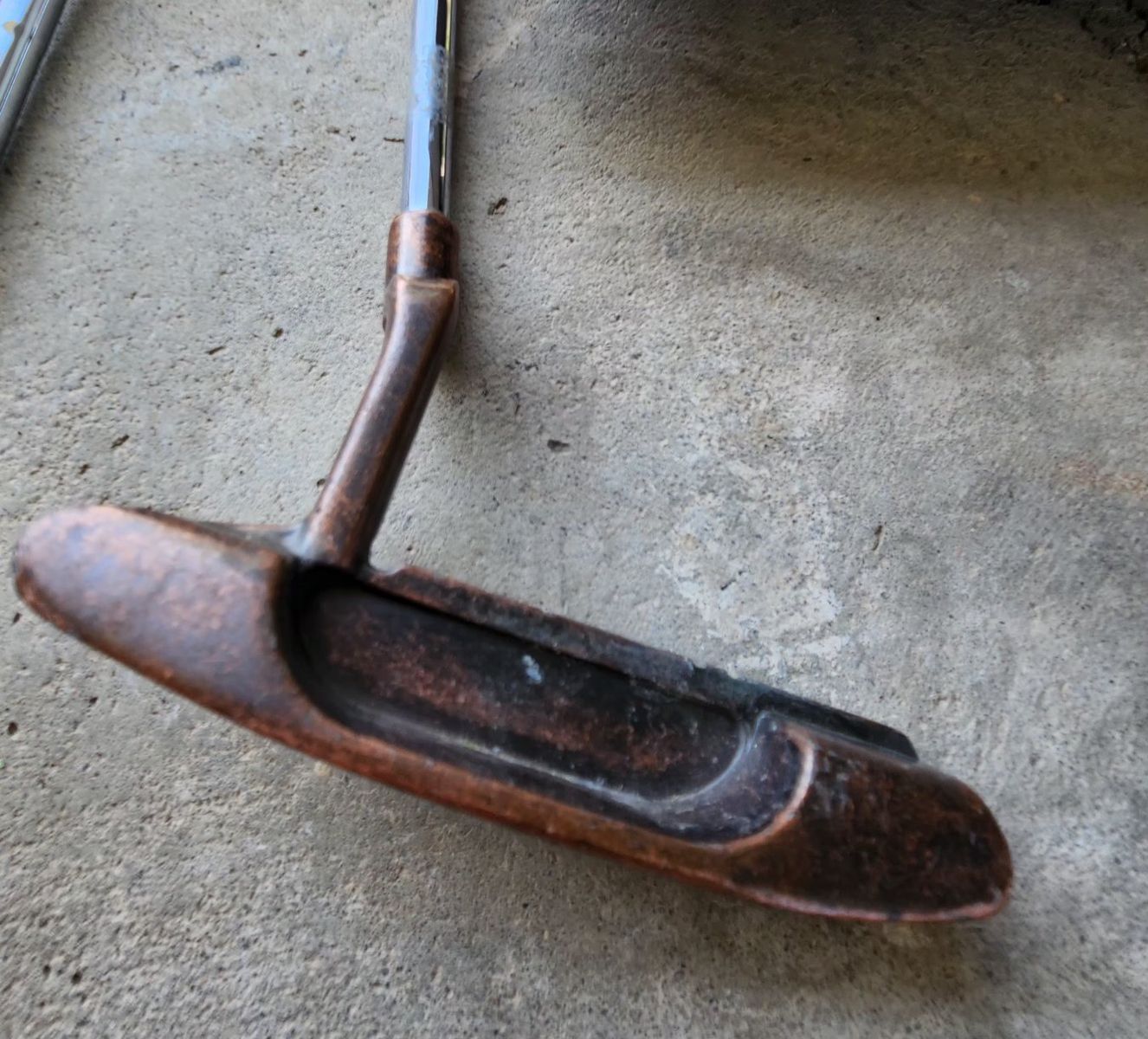 Main image 7