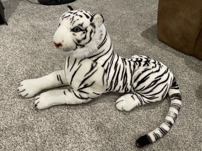 Stuffed white tiger