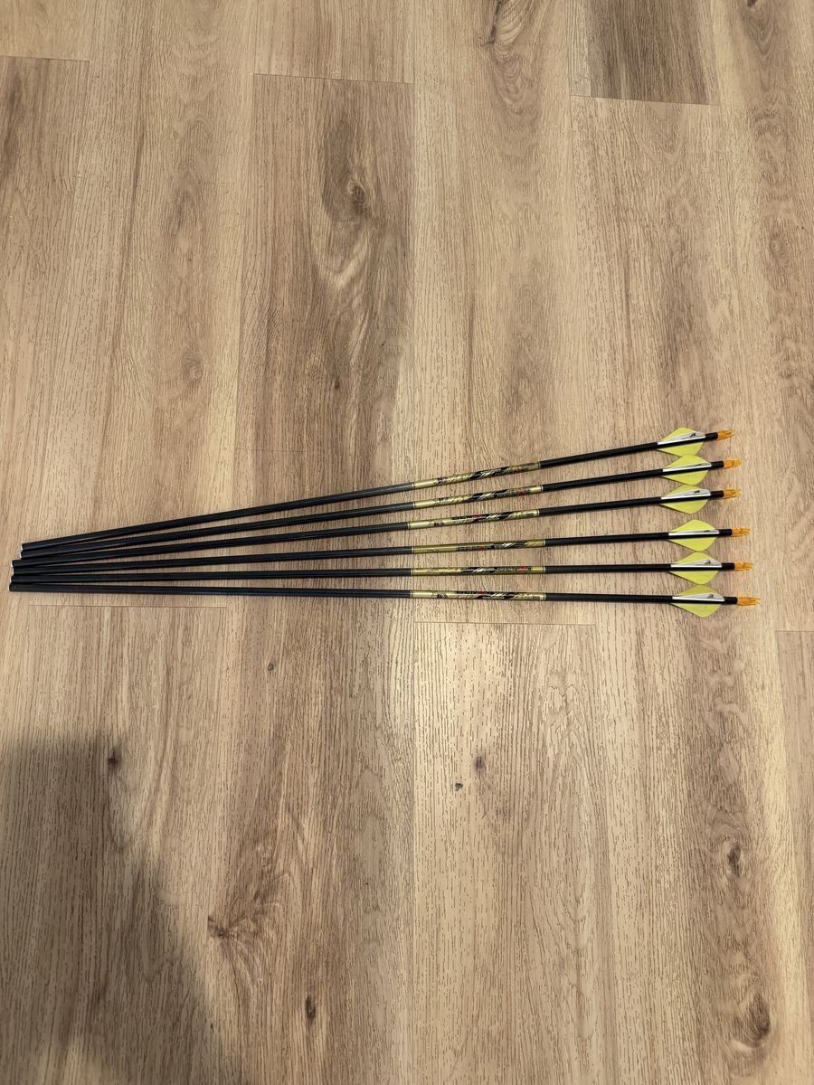 Beman ICS Precision Hunter Arrows