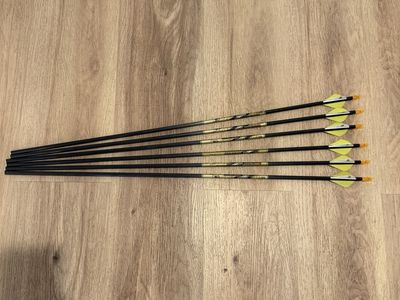 Beman ICS Precision Hunter Arrows