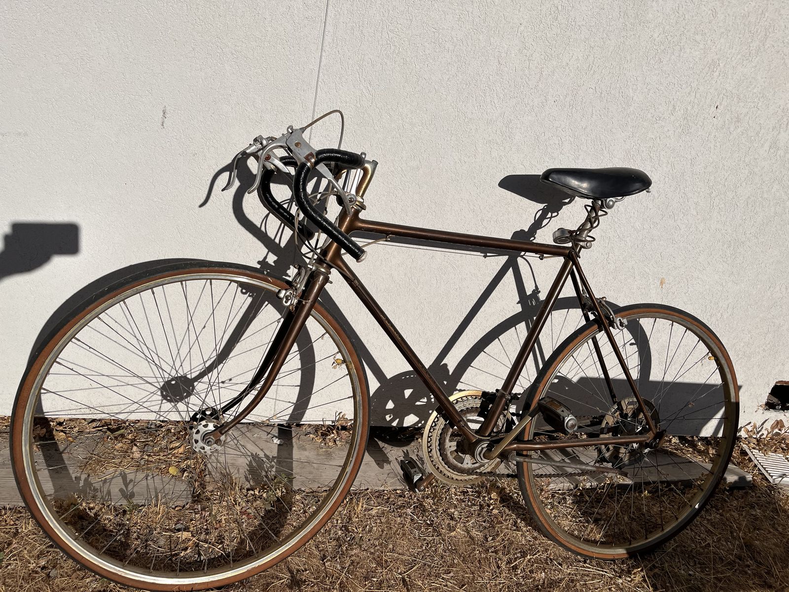Vintage 70s schwinn suburban
