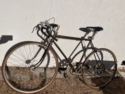 Vintage 70s schwinn suburban