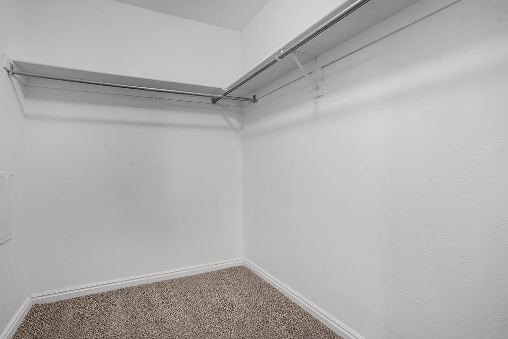 Main image 12
