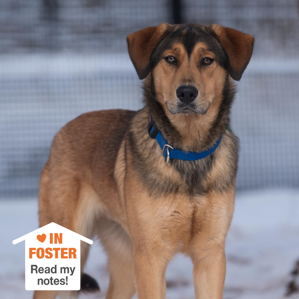 Hello my name is Forest