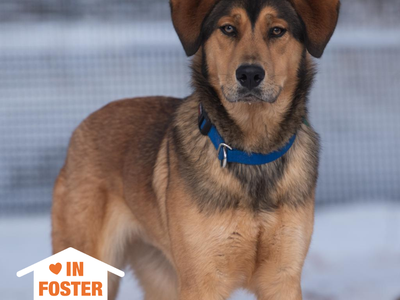 Hello my name is Forest