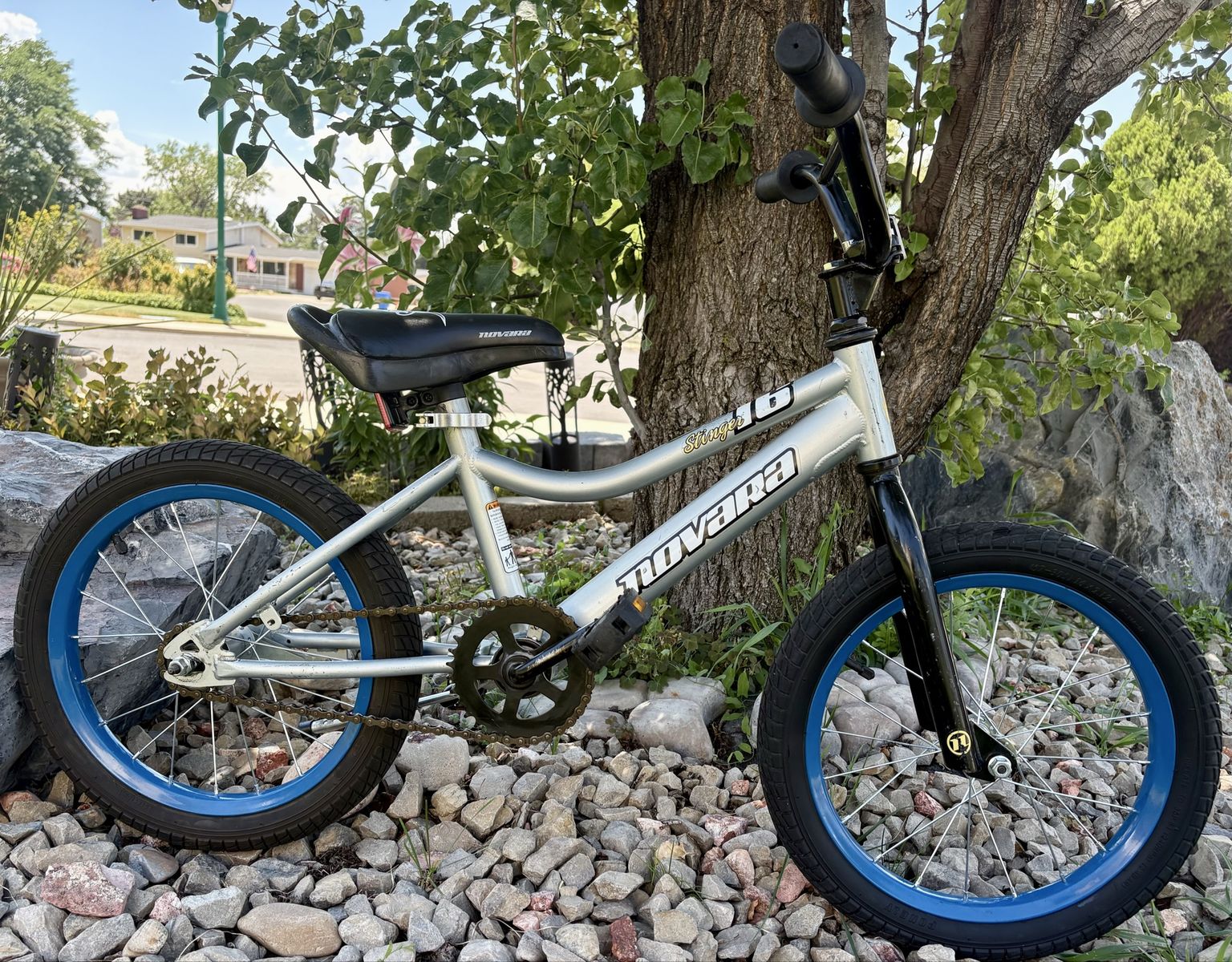 REI 16” Novara Stinger 16 Kids' BMX Bike