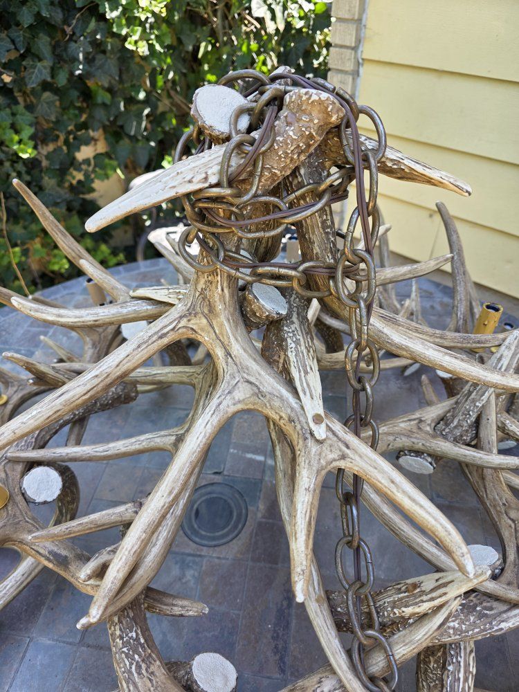 Main image 5